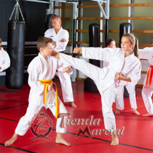 Uniforme para Karate, Aikido, Kobudo, artes marciales japonesas, karategi