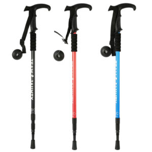 Bastón de Montañismo y trekking